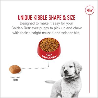 Show full view: Royal Canin Breed Health Nutrition Golden Retriever Puppy Dry Dog Food, 30-lb bag slide 4 of 12