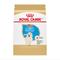 Show in main carousel: Royal Canin Breed Health Nutrition Golden Retriever Puppy Dry Dog Food, 30-lb bag slide 1 of 12
