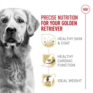 Royal Canin Breed Health Nutrition Golden Retriever Adult Dry Dog Food, 30-lb bag