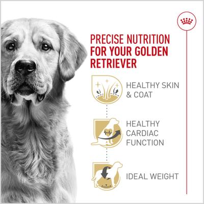 Show full view: Royal Canin Breed Health Nutrition Golden Retriever Adult Dry Dog Food, 30-lb bag slide 3 of 12