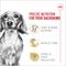 Show in main carousel: Royal Canin Breed Health Nutrition Dachshund Adult Dry Dog Food, 10-lb bag slide 3 of 12