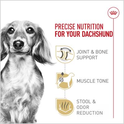 Show full view: Royal Canin Breed Health Nutrition Dachshund Adult Dry Dog Food, 10-lb bag slide 3 of 12