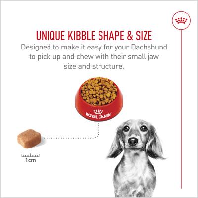Show full view: Royal Canin Breed Health Nutrition Dachshund Adult Dry Dog Food, 10-lb bag slide 4 of 12