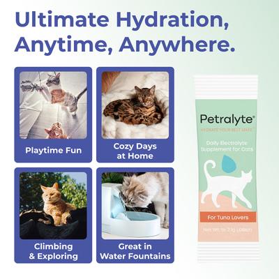 Show full view: Petralyte Tuna Flavored Electrolyte & Joint Supplement for Cats, 16 count slide 6 of 7