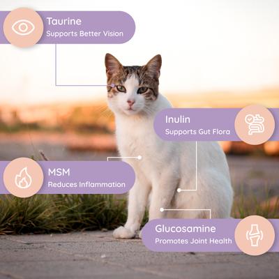 Show full view: Petralyte Salmon Flavored Electrolyte & Joint Supplement for Cats, 16 count slide 3 of 7