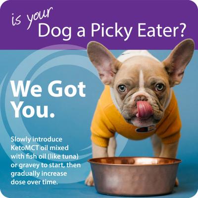 Show full view: LifeSense Pet KetoMCT Oil Liquid Supplement for Dogs, 32-fl oz bottle slide 8 of 12