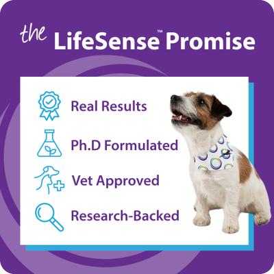 Show full view: LifeSense Pet KetoMCT Oil Liquid Supplement for Dogs, 32-fl oz bottle slide 10 of 12