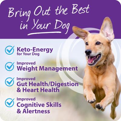 Show full view: LifeSense Pet KetoMCT Oil Liquid Supplement for Dogs, 32-fl oz bottle slide 5 of 12