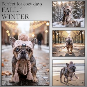 Fabulous Fido Beanie with Ear Holes & Adjustable Chin Strap Dog Knit Hat, Beige, Medium