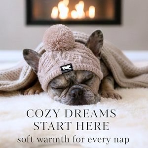 Fabulous Fido Beanie with Ear Holes & Adjustable Chin Strap Dog Knit Hat, Beige, Medium