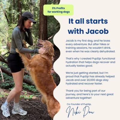 Show full view: PupSip Electrolyte & Hydration Support Berry Boost Flavored Powder Supplement for Dogs, 12 count slide 10 of 12