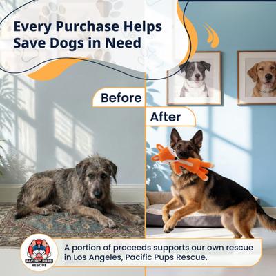 Show full view: Pacific Pups Products Woodland Animals Fox Squeaky Plush Dog Toy slide 6 of 7