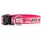 Show in main carousel: The Worthy Dog Love & Kisses Nylon Dog Collar, Pink, X-Small: 5 to 11-in neck, 1/2-in wide slide 2 of 4