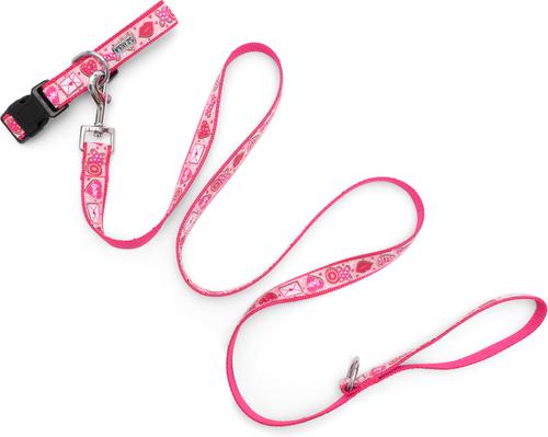 Show full view: The Worthy Dog Love & Kisses Nylon Dog Collar, Pink, X-Small: 5 to 11-in neck, 1/2-in wide slide 3 of 4