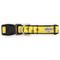 Show in main carousel: The Worthy Dog Bzzz! Adjustable Dog Collar, Yellow, X-Large slide 4 of 5