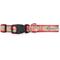 Show in main carousel: The Worthy Dog Americana Holiday Nylon Dog Collar, Red/Green, Medium: 11 to 17-in neck, 1-in wide slide 2 of 3