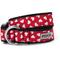 Show in main carousel: The Worthy Dog Be Mine Nylon Dog Collar, Red, X-Large: 17 to 23-in neck, 1-in wide slide 1 of 1