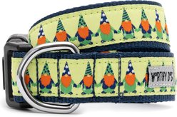 The Worthy Dog Luck 'O the Irish Gnome Nylon Dog Collar, Green, Medium: 11 to 17-in neck, 1-in wide slide 1 of 2