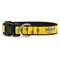 Show in main carousel: The Worthy Dog Bzzz! Adjustable Dog Collar, Yellow, X-Large slide 3 of 5
