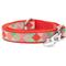 Show in main carousel: The Worthy Dog Americana Holiday Nylon Dog Lead, Red/Green, Large: 5-ft long, 1-in wide slide 1 of 3