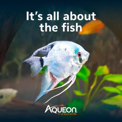 Show full view: Aqueon EcoRenew Aquarium Replacement Filter Cartridges, Black, Large, 9 count slide 8 of 10