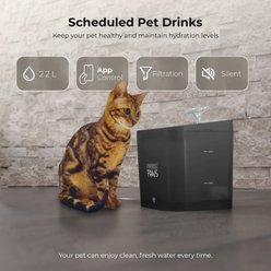 Penthouse Paws Smart Water Fountain Whisper-Quiet for Dog & Cat, Black, 74-oz slide 2 of 7