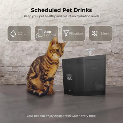 Show full view: Penthouse Paws Smart Water Fountain Whisper-Quiet for Dog & Cat, Black, 74-oz slide 4 of 11