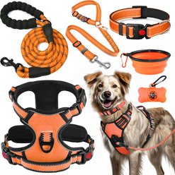Lobeve Reflective Nylon No Pull Training Dog Harness, Collar & Leash Set with Retractable Seat Belt, Collapsible Bowls & Poop Bag Dispenser, Orange, Large: 20 to 33-in chest