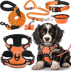 Lobeve Reflective Nylon No Pull Training Dog Harness, Collar & Leash Set with Retractable Seat Belt, Collapsible Bowls & Poop Bag Dispenser, Orange, Medium: 16 to 27-in chest