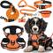 Show in main carousel: Lobeve Reflective Nylon No Pull Training Dog Harness, Collar & Leash Set with Retractable Seat Belt, Collapsible Bowls & Poop Bag Dispenser, Orange, Medium: 16 to 27-in chest slide 1 of 10