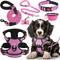Show in main carousel: Lobeve Reflective Nylon No Pull Training Dog Harness, Collar & Leash Set with Retractable Seat Belt, Collapsible Bowls & Poop Bag Dispenser, Pink, Medium: 16 to 27-in chest slide 1 of 10
