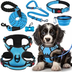 Lobeve Reflective Nylon No Pull Training Dog Harness, Collar & Leash Set with Retractable Seat Belt, Collapsible Bowls & Poop Bag Dispenser, Blue, Small: 15 to 23-in chest