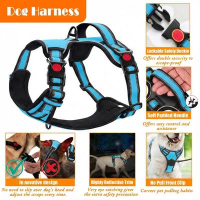Show full view: Lobeve Reflective Nylon No Pull Training Dog Harness, Collar & Leash Set with Retractable Seat Belt, Collapsible Bowls & Poop Bag Dispenser, Blue, Large: 20 to 33-in chest slide 4 of 9