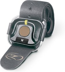 Dogtra Handsfree Square Training Dog Collar Transmitter