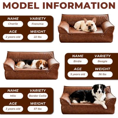 Show full view: ATJafurn Indoor Leather Sofa Furniture Style Elevated Dog & Cat Couch Bed, Large slide 6 of 9