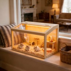 Wisfor Clear Acrylic Openable Top Wooden Hamster Cage with Warm Light, 31.5 x 15.7 x 15.7-in