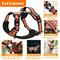 Show in main carousel: Lobeve Reflective Nylon No Pull Training Dog Harness, Collar & Leash Set with Retractable Seat Belt, Collapsible Bowls & Poop Bag Dispenser, Orange, Medium: 16 to 27-in chest slide 5 of 10
