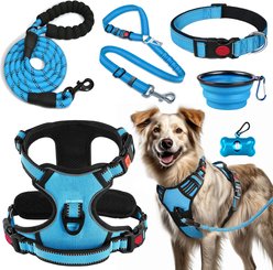 Lobeve Reflective Nylon No Pull Training Dog Harness, Collar & Leash Set with Retractable Seat Belt, Collapsible Bowls & Poop Bag Dispenser, Blue, Large: 20 to 33-in chest