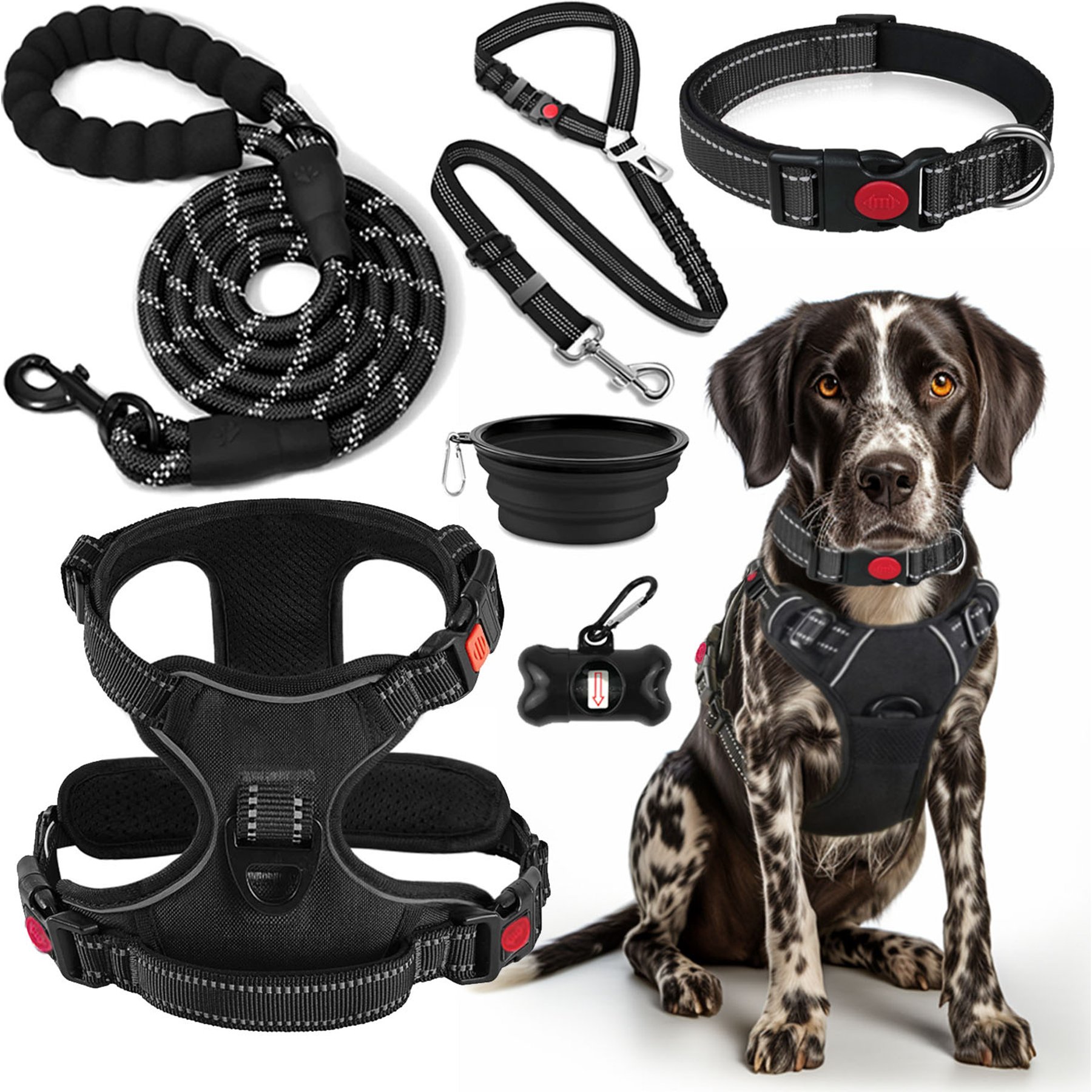 Lobeve Reflective Nylon No Pull Training Dog Harness, Collar & Leash Set with Retractable Seat Belt, Collapsible Bowls & Poop Bag Dispenser, Black, Small: 15 to 23-in chest