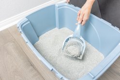 Van Ness Litter Scoop slide 2 of 6