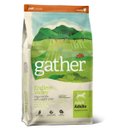Gather Endless Valley Vegan Dry Dog Food, 6-lb bag
