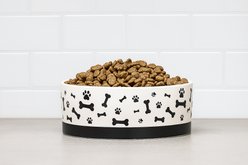 10 Strawberry Street Bone & Paw Banded Pet Dog Dish, White/Black, 2 count, 48-oz slide 2 of 5