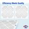 Show in main carousel: Clorox Air Filters MPR1500 & FPR 10 MERV 13 Pleated HVAC AC Furnace Air Filters, 16 x 20 x 1-in, 4 count slide 9 of 9