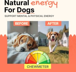 Gaines Family Farmstead Duck Feet Grain-Free Dehydrated Dog Treats, 20 count slide 2 of 6