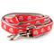Show in main carousel: The Worthy Dog Sock Monkey Dog Leash, Red, Large slide 1 of 2