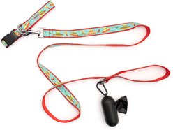 The Worthy Dog Cinco de Mayo Adjustable Dog Collar, Turquoise, Medium slide 2 of 5