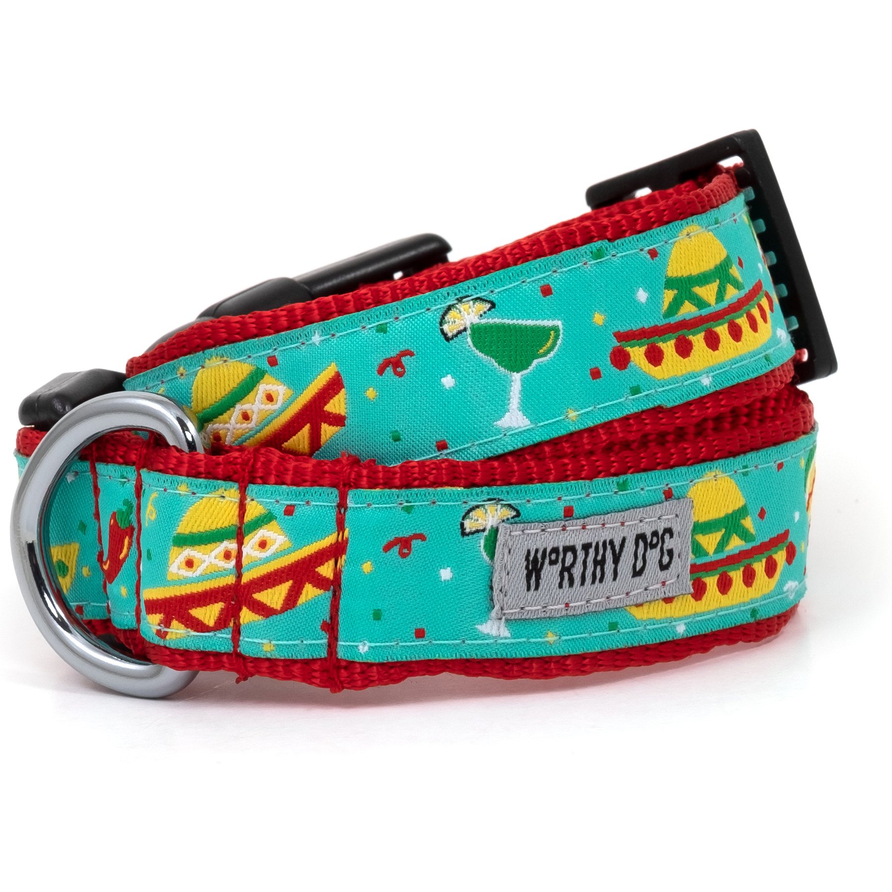 The Worthy Dog Cinco de Mayo Adjustable Dog Collar, Turquoise, Small