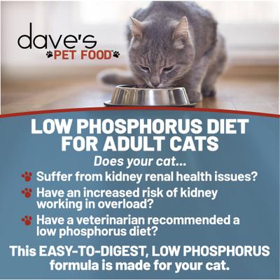 Show full view: Dave's Pet Food Restricted Diet Phosphorus Chicken Liver & Chicken in Juice Pate Canned Wet Cat Food, 3-oz, case of 12 slide 3 of 9