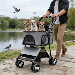 Wisfor Foldable Cat Stroller with Detachable Carrier, Grey