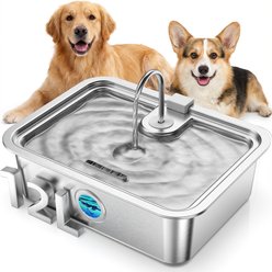 Casfuy ZT-12 Stainless Steel Dog Water Fountain, 3.2-gal